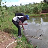 FISH FARMING IMPROVES ALLAN KHOGOWALE’S LIFE