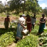 BACKYARD GARDENS KEEP CHILDREN IN SCHOOL